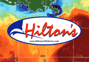 Hilton's Realtime Navigator